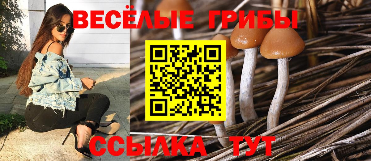 Галлюциногенные грибы ЛСД Лабытнанги
