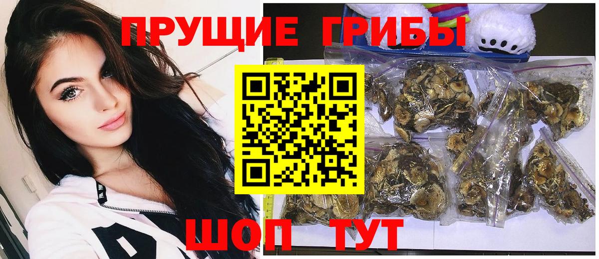 Псилоцибиновые грибы Psilocybe  Вход с VPN  купить  сайты  Лабытнанги 